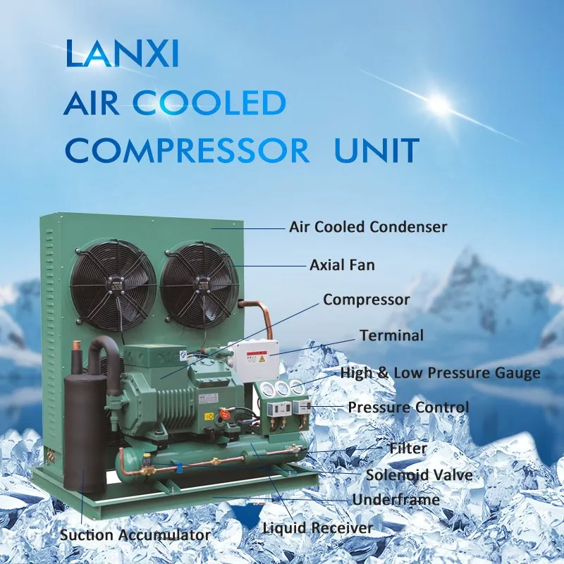 Industrial Air Cooled Famous Compressor Refrigeration Part Condensing Unit for Cold Room 0