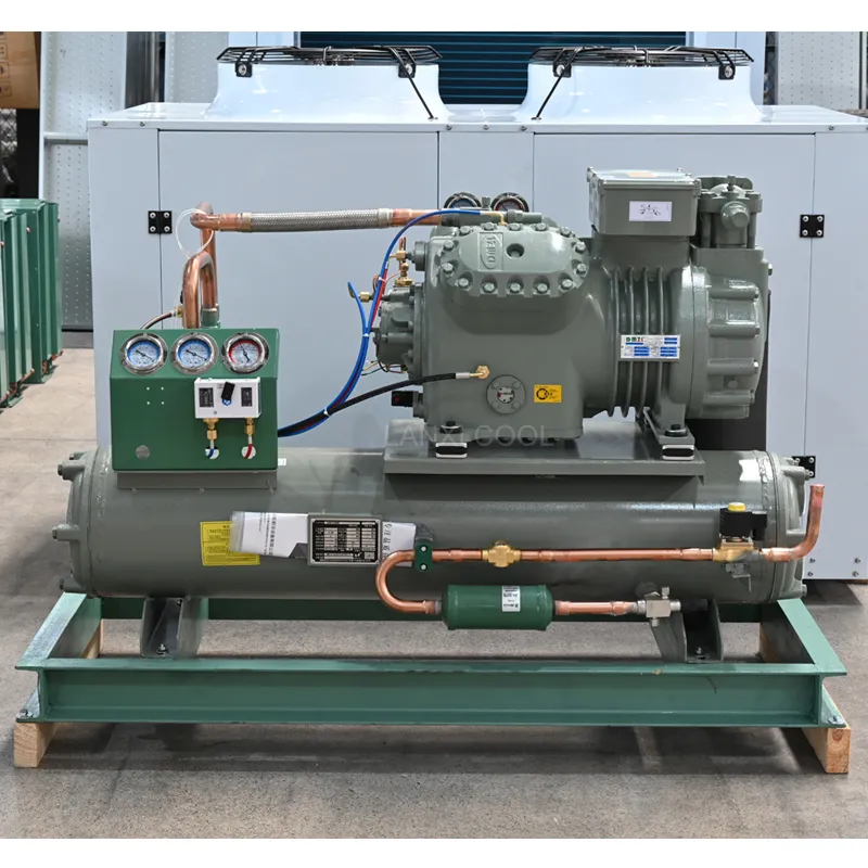 Industrial Air Cooled Famous Compressor Refrigeration Part Condensing Unit for Cold Room 1