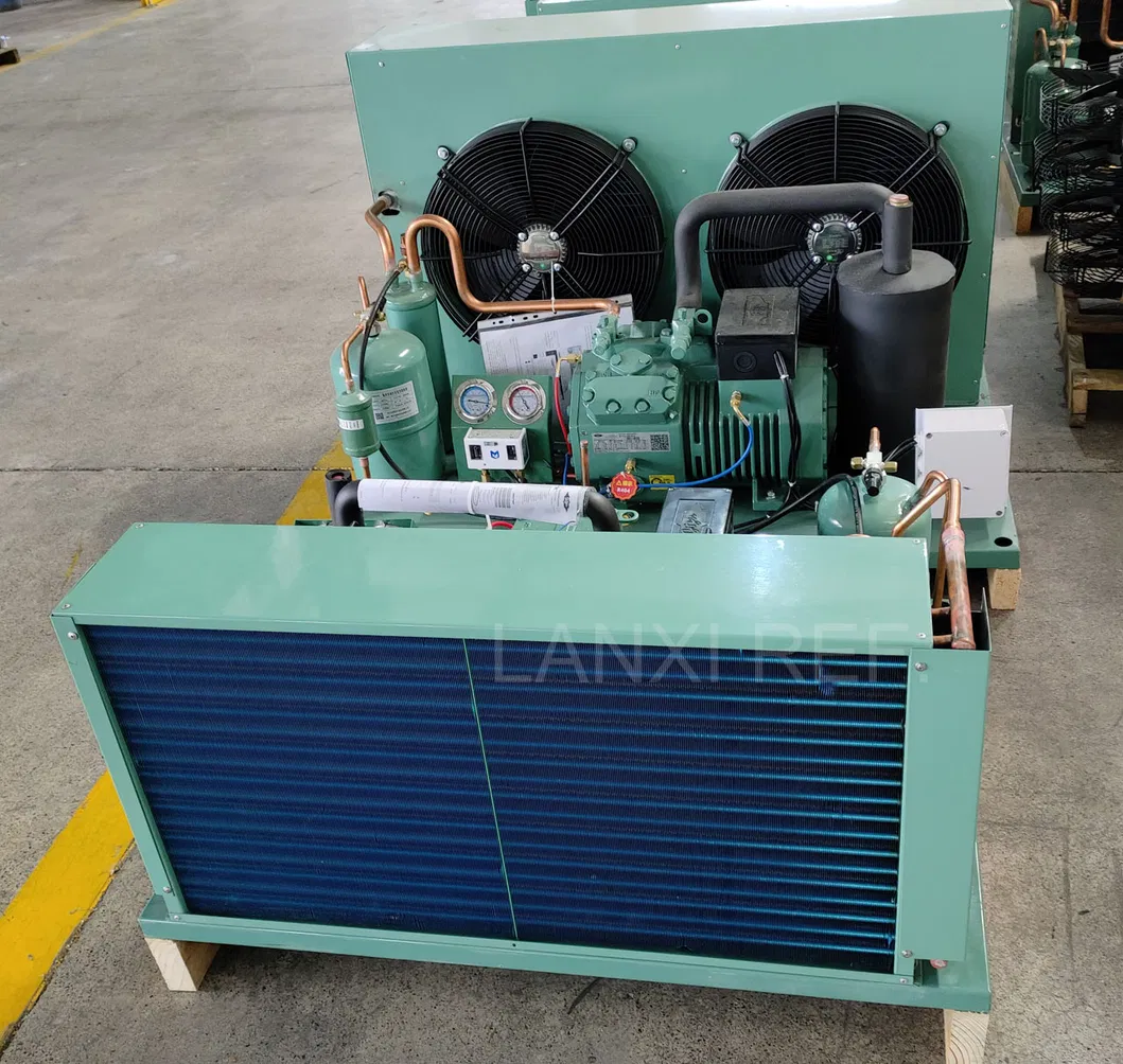 Industrial Air Cooled Famous Compressor Refrigeration Part Condensing Unit for Cold Room 3
