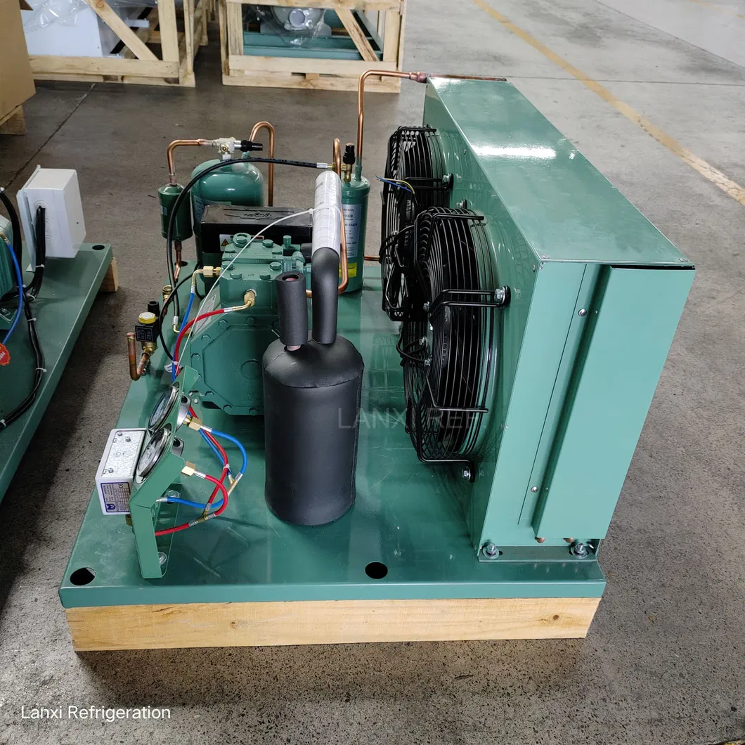 Industrial Air Cooled Famous Compressor Refrigeration Part Condensing Unit for Cold Room 2