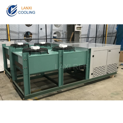 Low Temperature V type Air Cooled Condenser Unit for Cold Room Refrigeration unit with Bitzer compressor