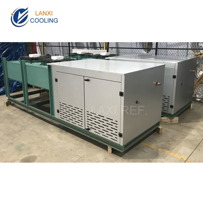 Low Temperature V type Air Cooled Condenser Unit for Cold Room Refrigeration unit with Bitzer compressor