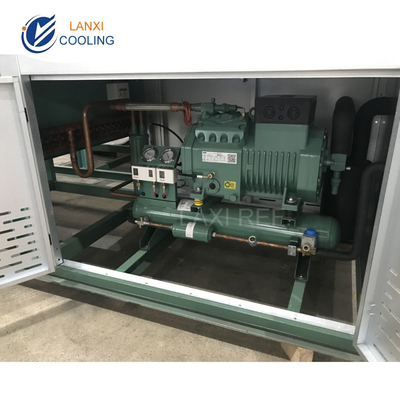 Low Temperature V type Air Cooled Condenser Unit for Cold Room Refrigeration unit with Bitzer compressor