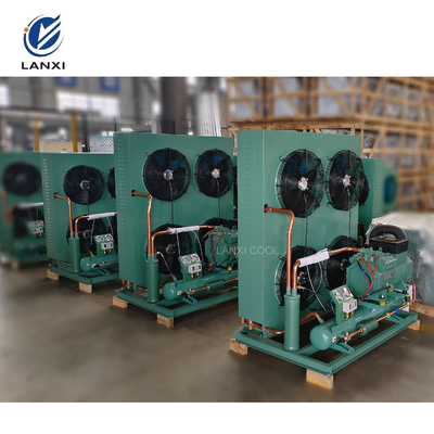 Industrial Air Cooled Famous Compressor Refrigeration Part Condensing Unit for Cold Room