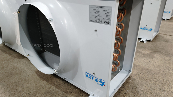 12HP Al-Zn Alloy Coated Shell Air Cooler Evaporator Energy-Saving Ceiling-Mounted for Cold Room Storage and Air Conditioning