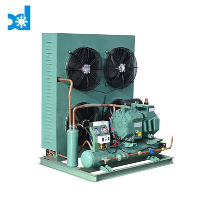 Industrial Air Cooled Famous Compressor Refrigeration Part Condensing Unit for Cold Room