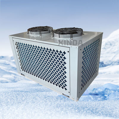 Wholesale U-Shaped Box Type Integrated Roof Air Outlet Air Cooled Condenser Fan Condensing Unit New Condition for Refrigeration System