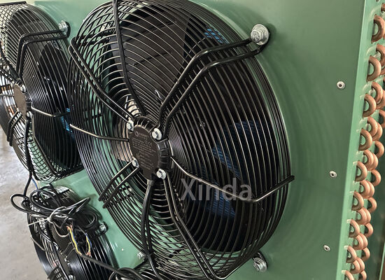 Energy-Efficient 600mm Axial Fan Motor with External Rotor Condenser Fan Motor Axial Fan for Condenser Evaporator