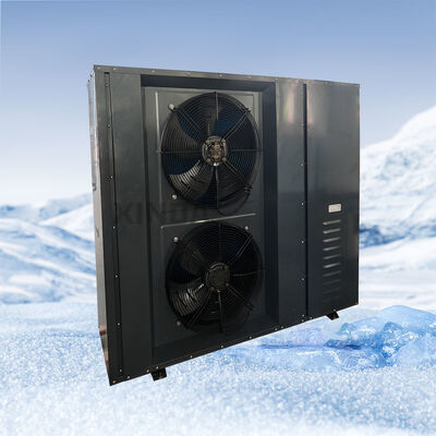 All-In-One Refrigeration System Air Cooled Condensing Unit for Cold Room Outdoor