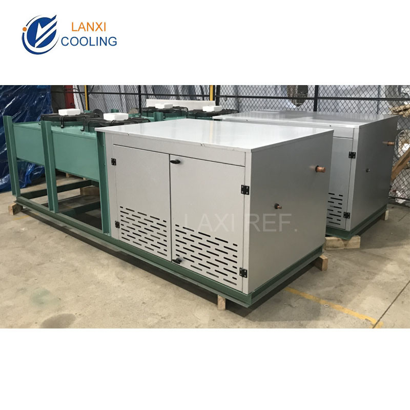 V Type Air Cooled Condensing Unit for Cold Storage Room with box and Bitzer compressor and Danfoss  accessories