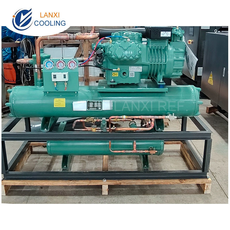 40HP Bitzer Low Temperature Compressor Condensing Unit with Water Cooled Condenser for Durian Factory Cold Storage