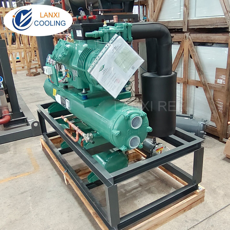 High Quality Low Temperature Bitzer Compressor Unit Condensing System for Cold Rooms