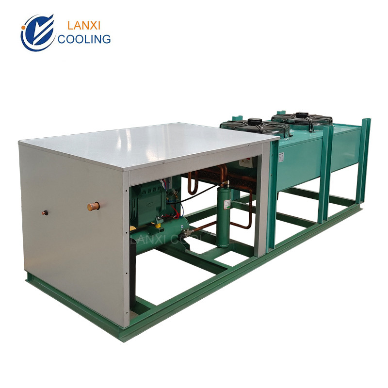 Low Temperature V type Air Cooled Condenser Unit for Cold Room Refrigeration unit with Bitzer compressor
