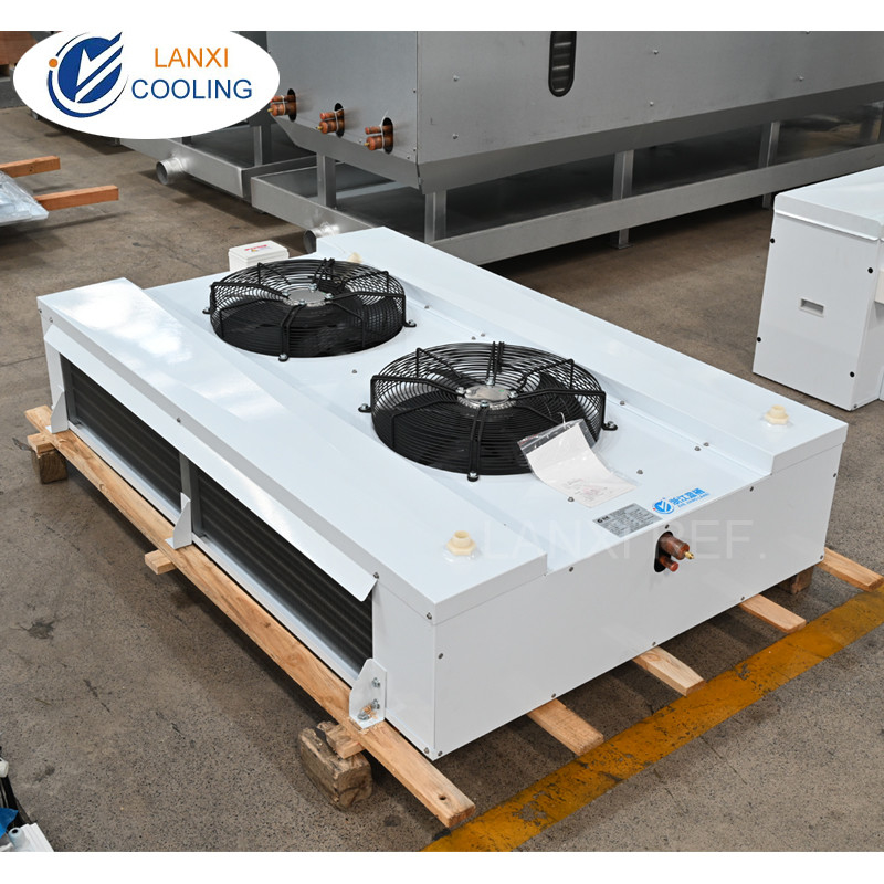 CDJ-20 Double-blowing Air Cooler Low-frost Evaporator For Fruit And Vegetable Food Processing Plant