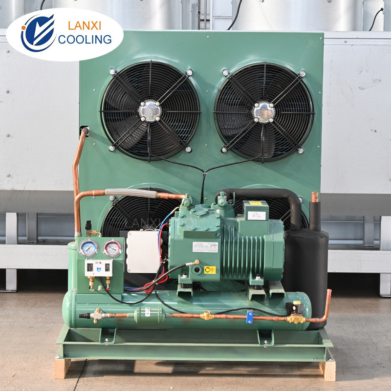 Factory 12hp 14hp 15hp 18hp 20hp 25hp Bitzer Semi Hermetic Refrigeration Compressor Condensing Units For Freezer Room