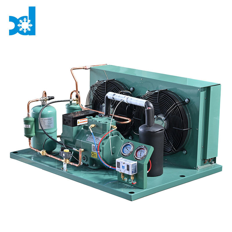 Industrial Air Cooled Famous Compressor Refrigeration Part Condensing Unit for Cold Room